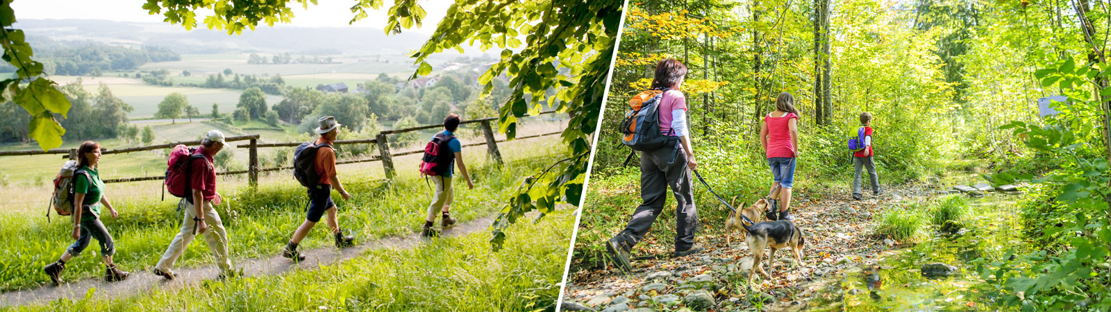 Read more about the article Wandern-Beitrag